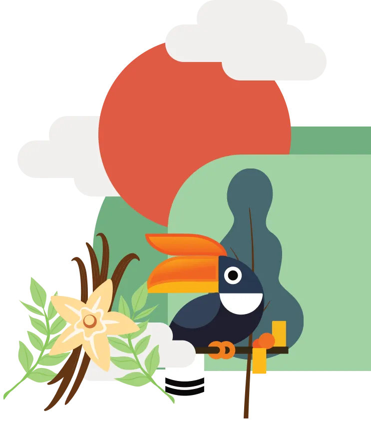 background section