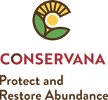 Conservana Spices
